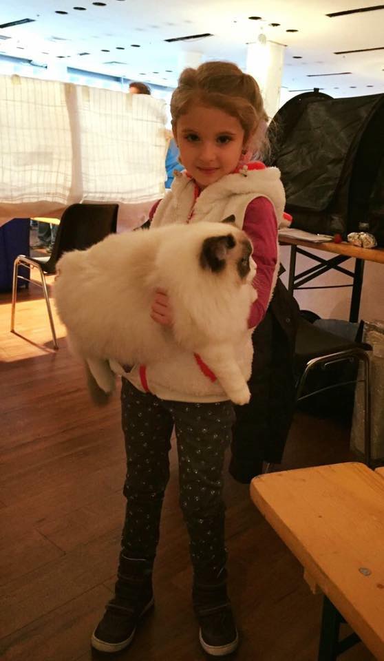 /images/Galeria/Cicák-gyerekek (Cats&Chirldren)/13912678_285124495188585_7008231735364624506_n.jpg